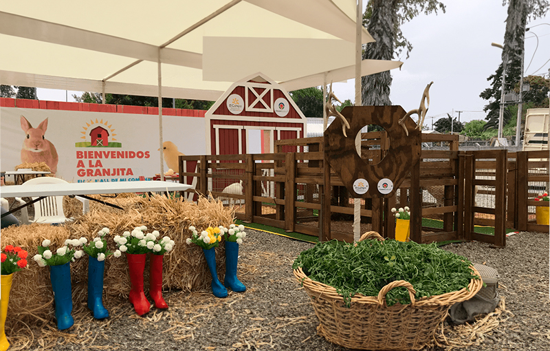 Granja Educativa Concon