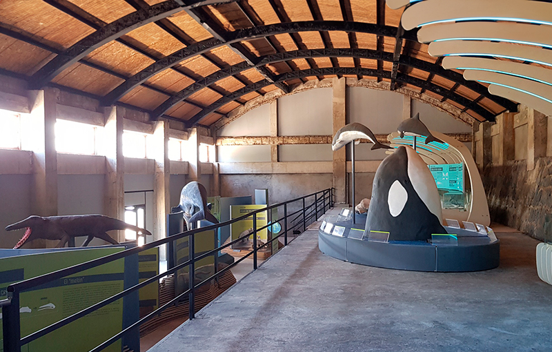 Museo Ex Ballernera de Quitay