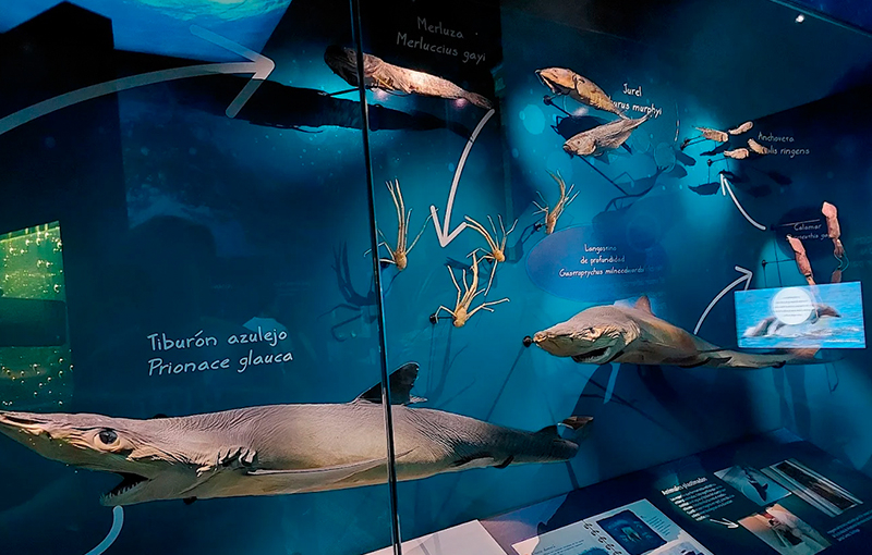 Museo de Historia Natural de Valparaiso