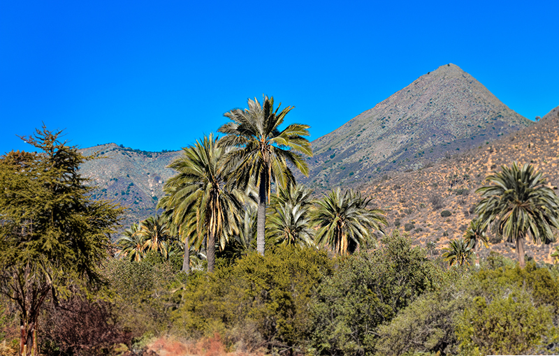 Parque Nacional Cerro La Campana